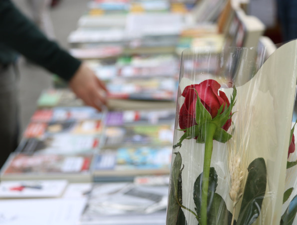 Rosa i parada de llibres