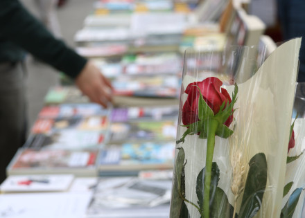 Rosa i parada de llibres