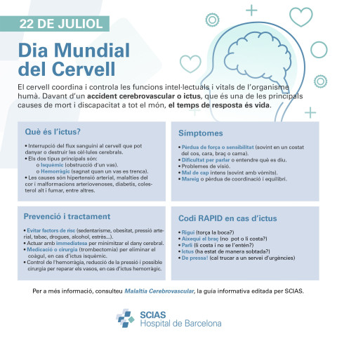 Infografia del Dia Mundial del Cervell