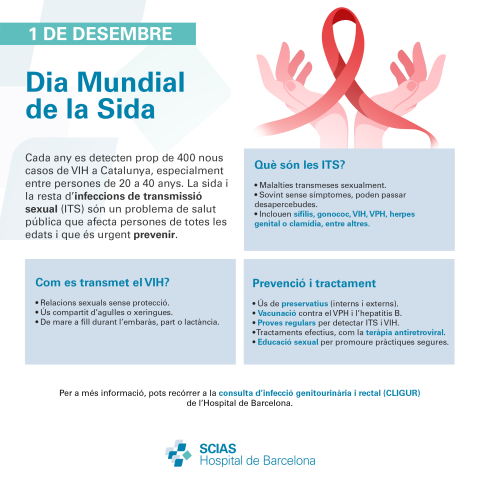 Infografia del Dia Mundial de la Sida