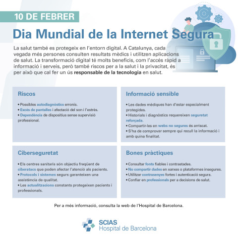 Infografia sobre el Dia Mundial de la Internet Segura