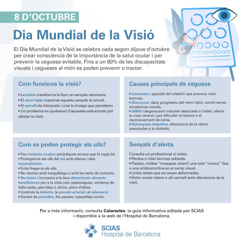 Infografia del Dia Mundial de la Visió
