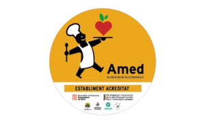 logo-amed