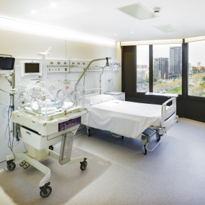 habitació compartida NN